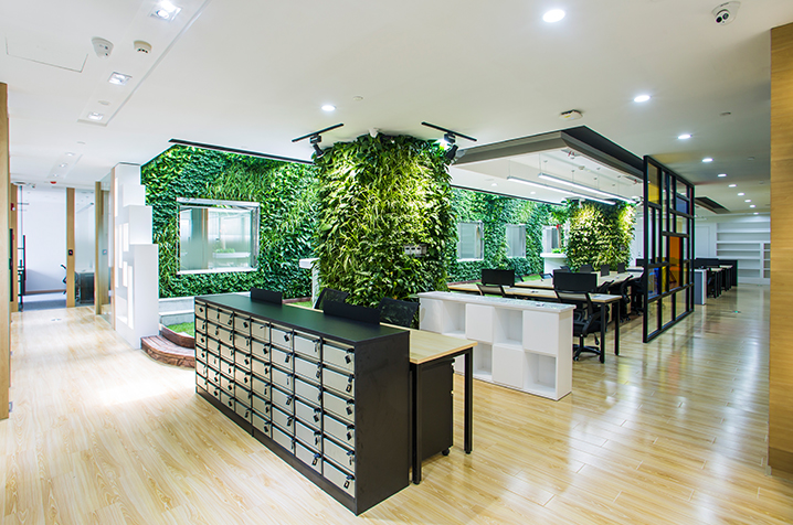 Fountown - Hongqiao Forest image 2