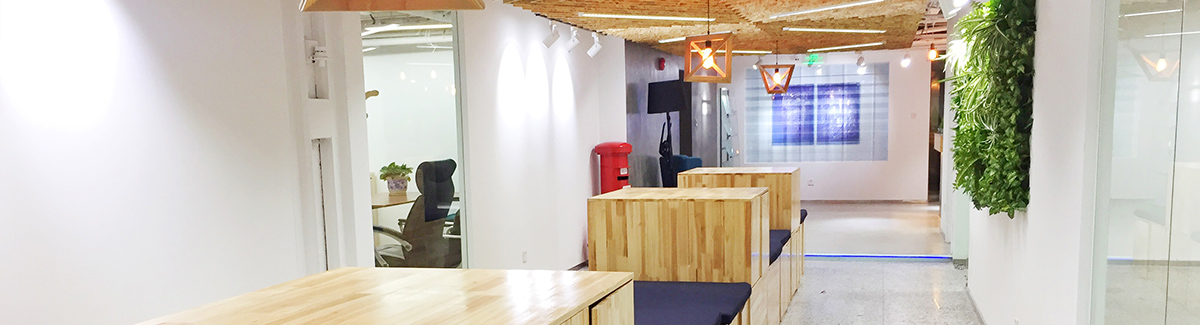 Linckia - Dong Hai 7th image 5