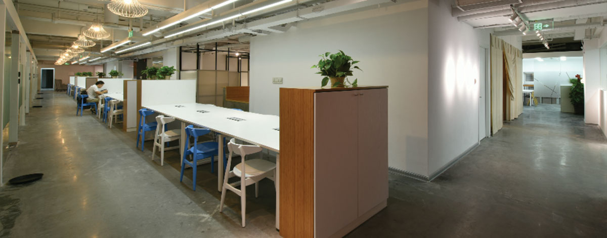 Linckia - Donghai Plaza image 3