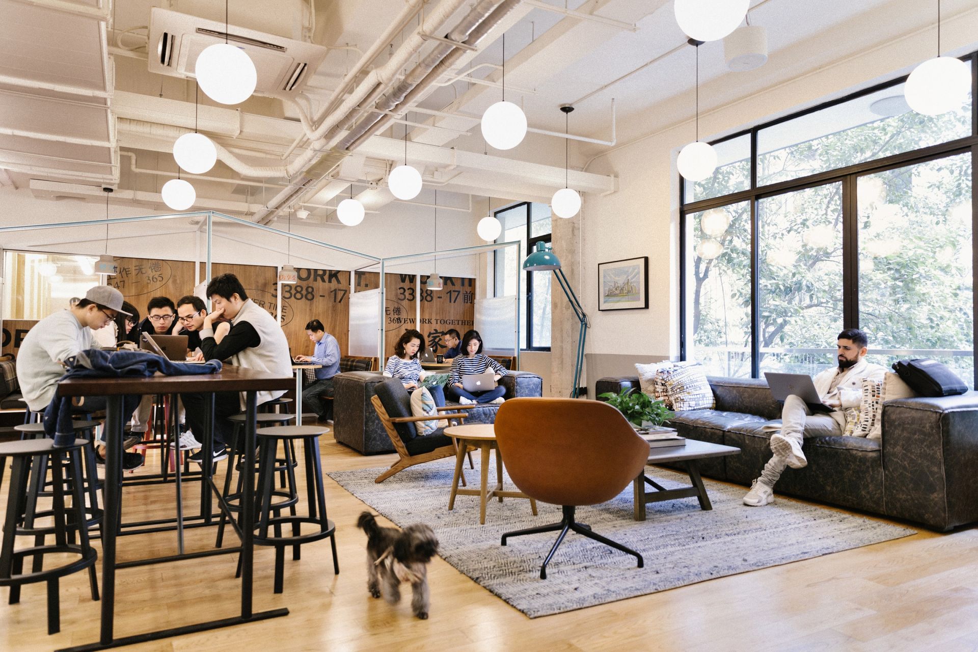 WeWork Yanping Lu image 4