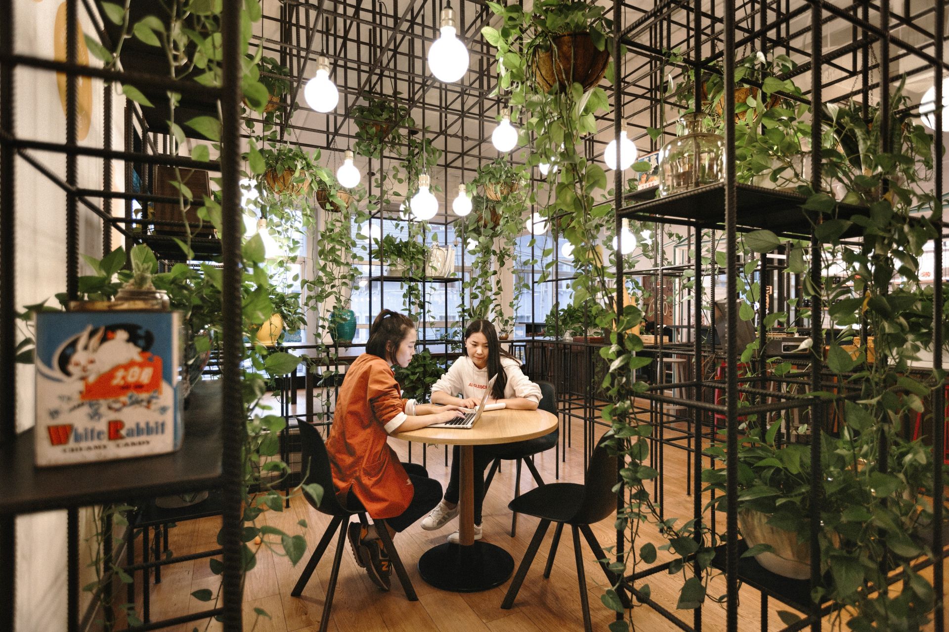 WeWork Yanping Lu image 5