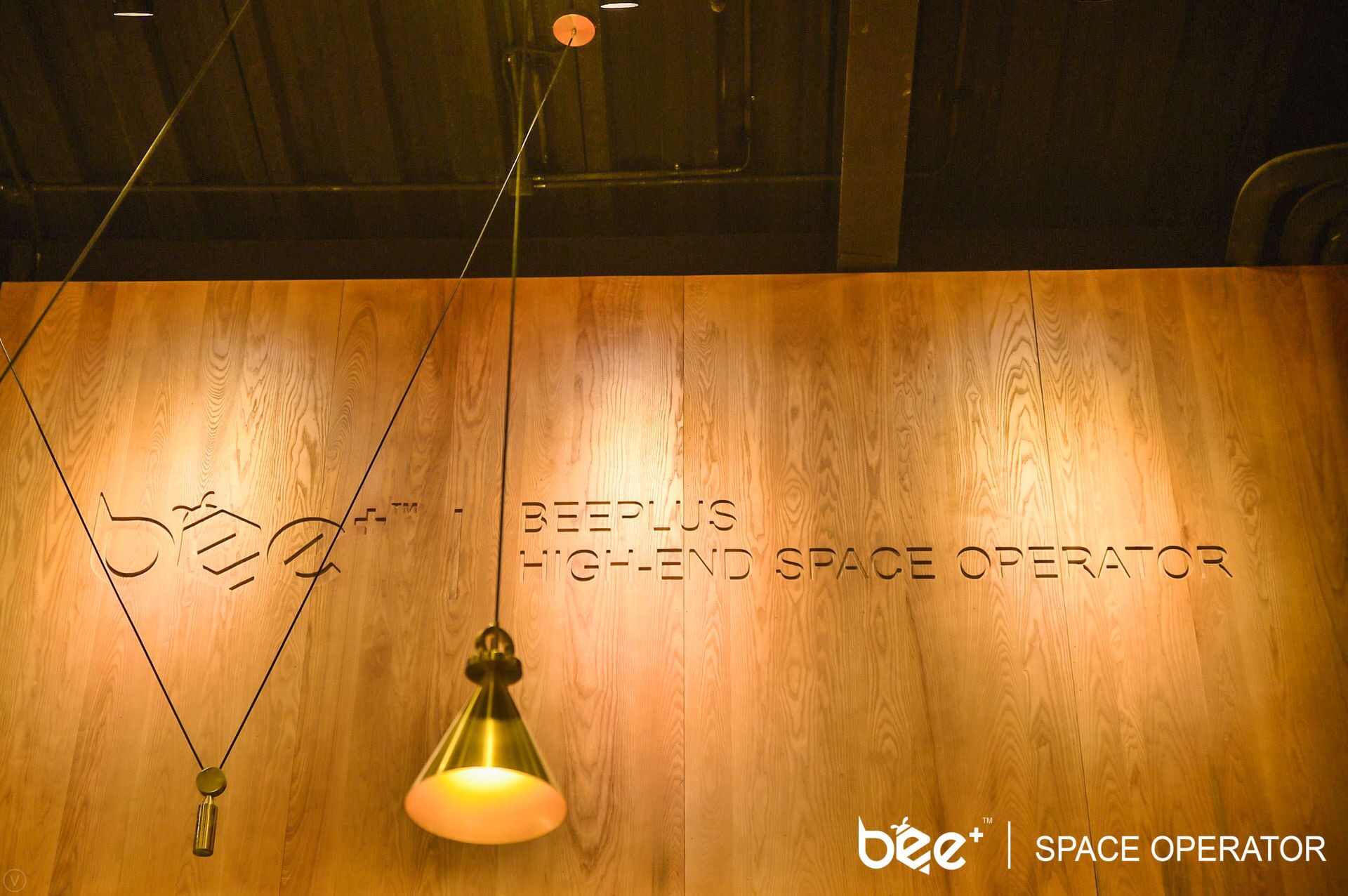 Beeplus profile image