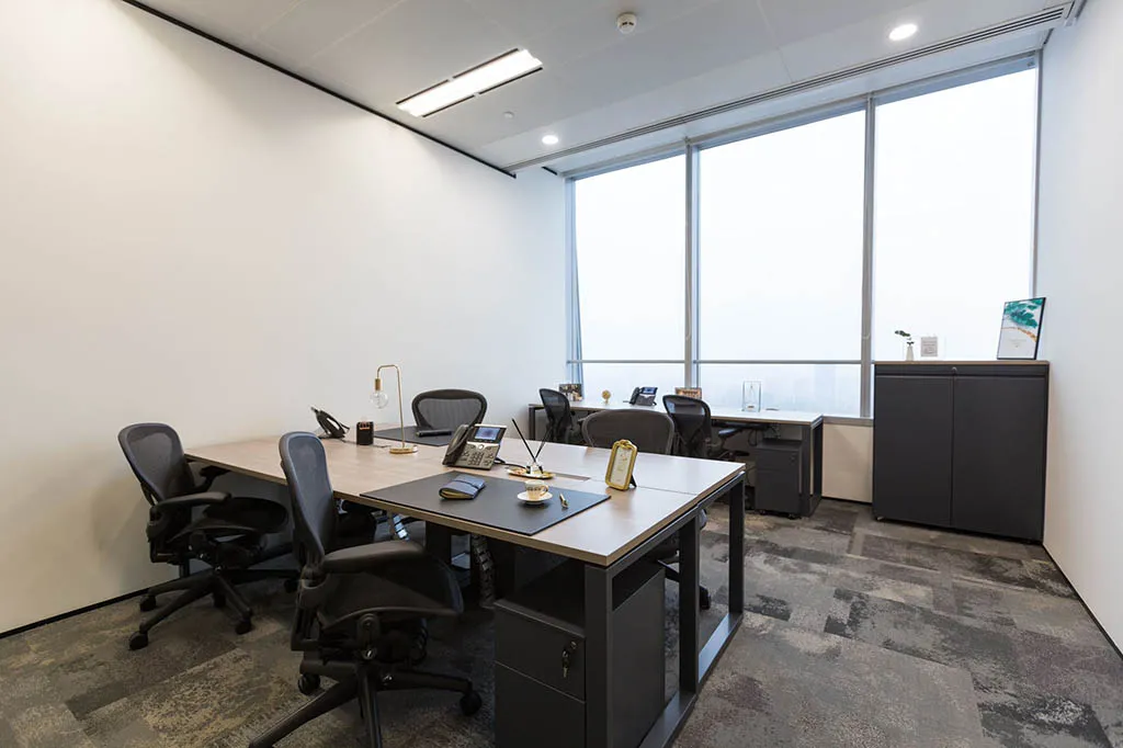 The Executive Centre - Modern International Finance Center image 3