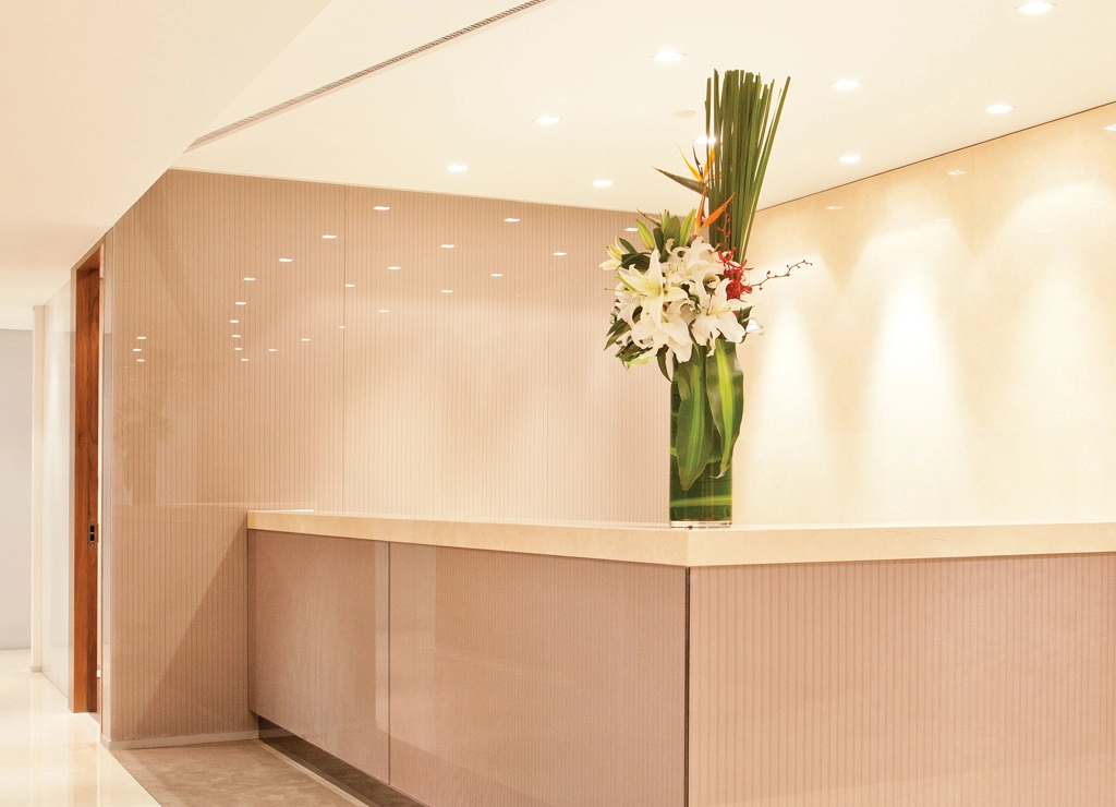 The Executive Centre - TEDA MSD C1 Tower image 2