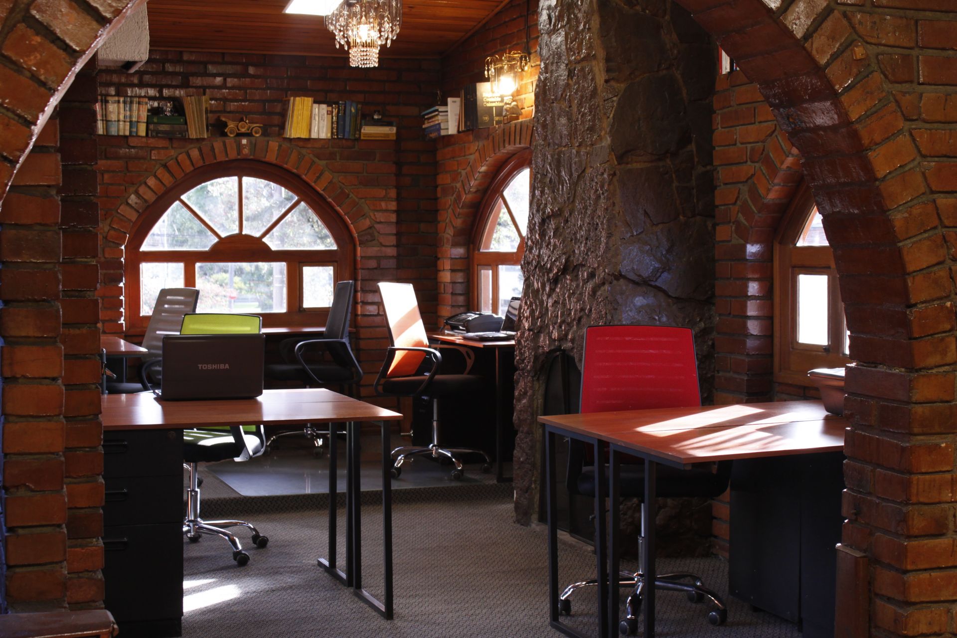 Bajo el Árbol image 2