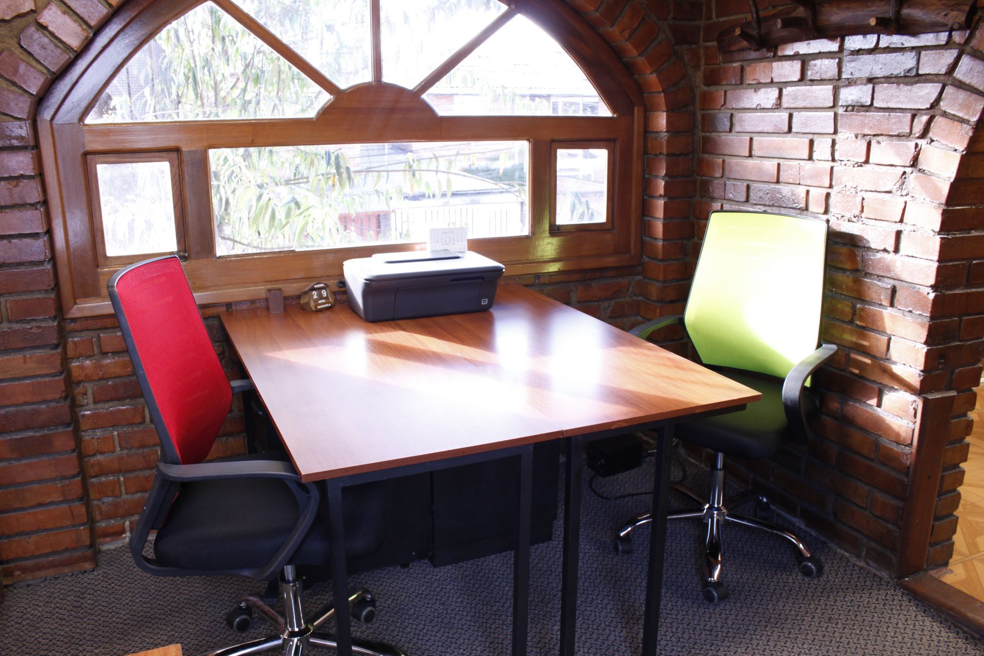 Bajo el Árbol image 4