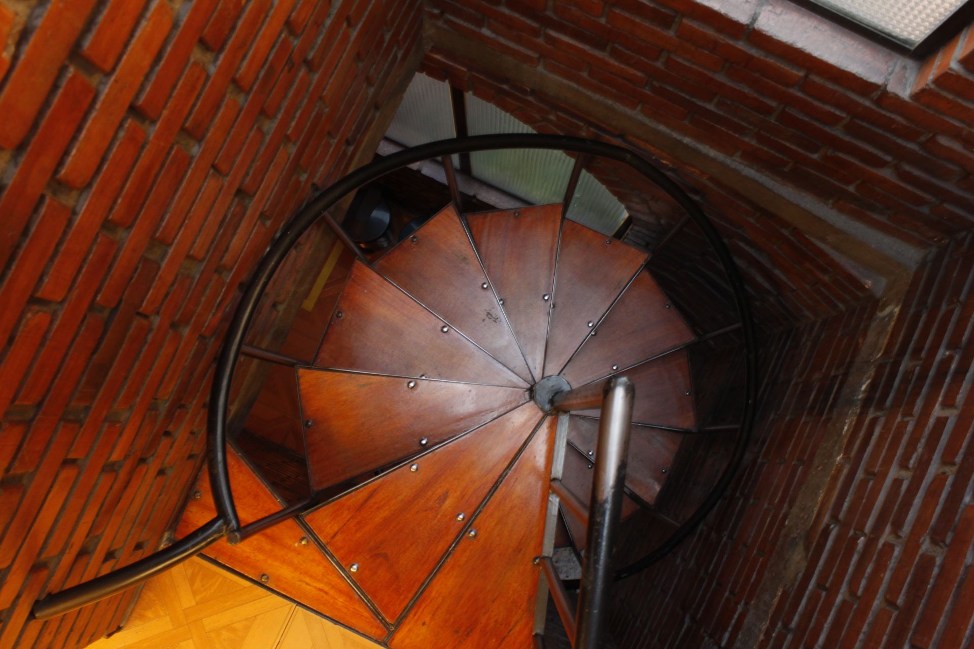 Bajo el Árbol image 5