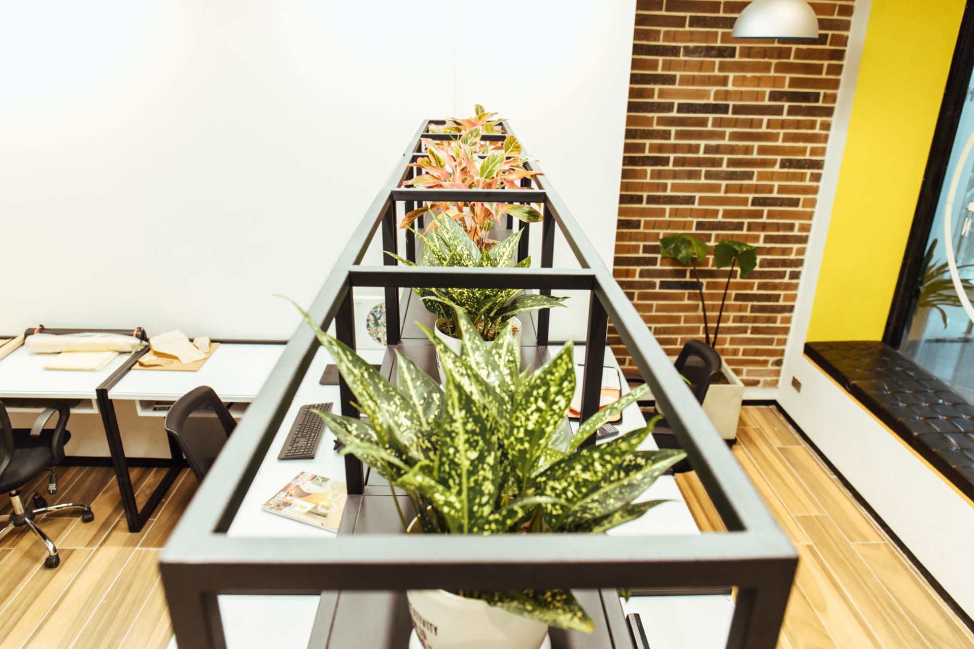 Inspiro Workstation image 5