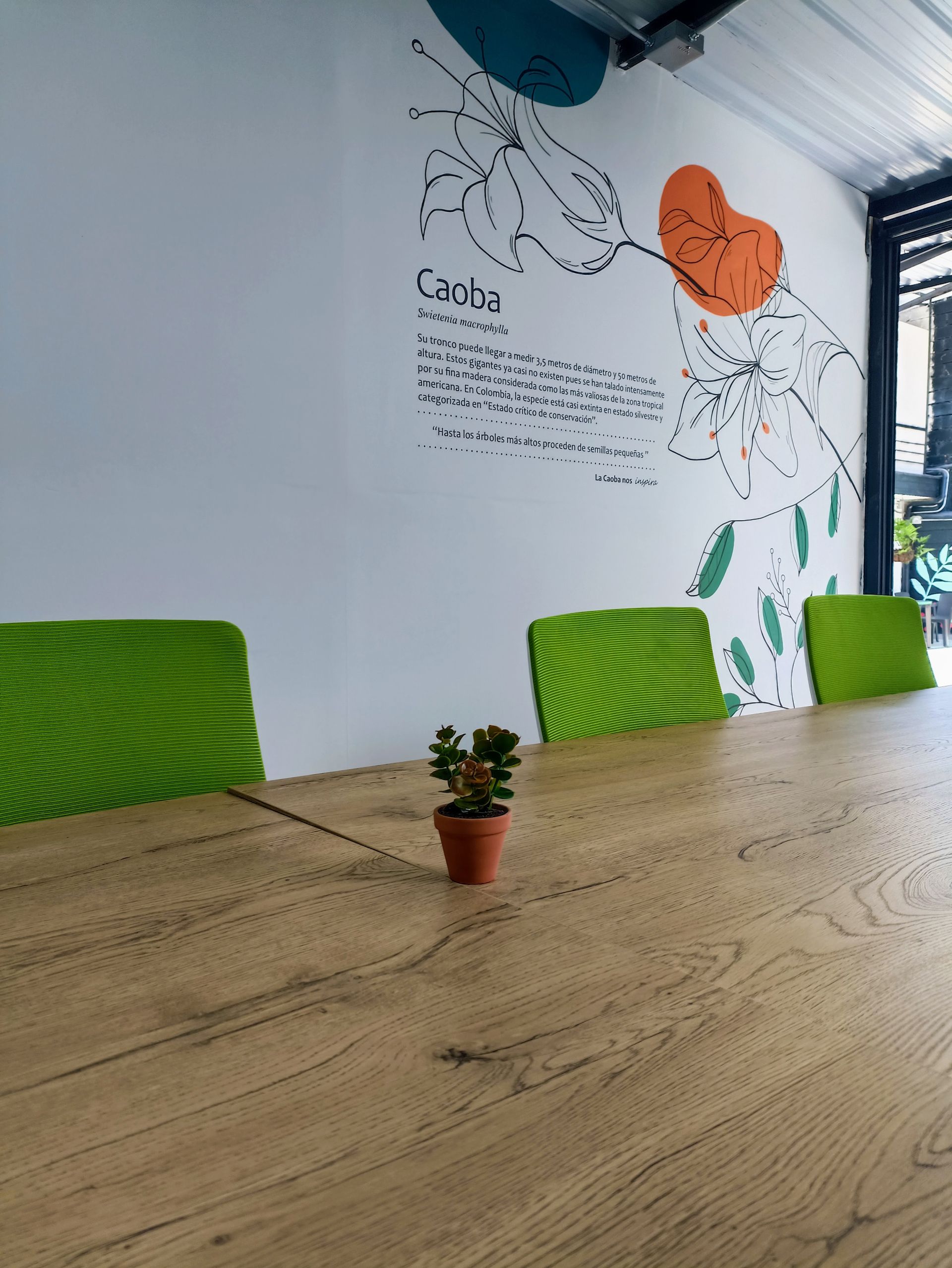 Coworking Inspira - Sede Laureles image 3