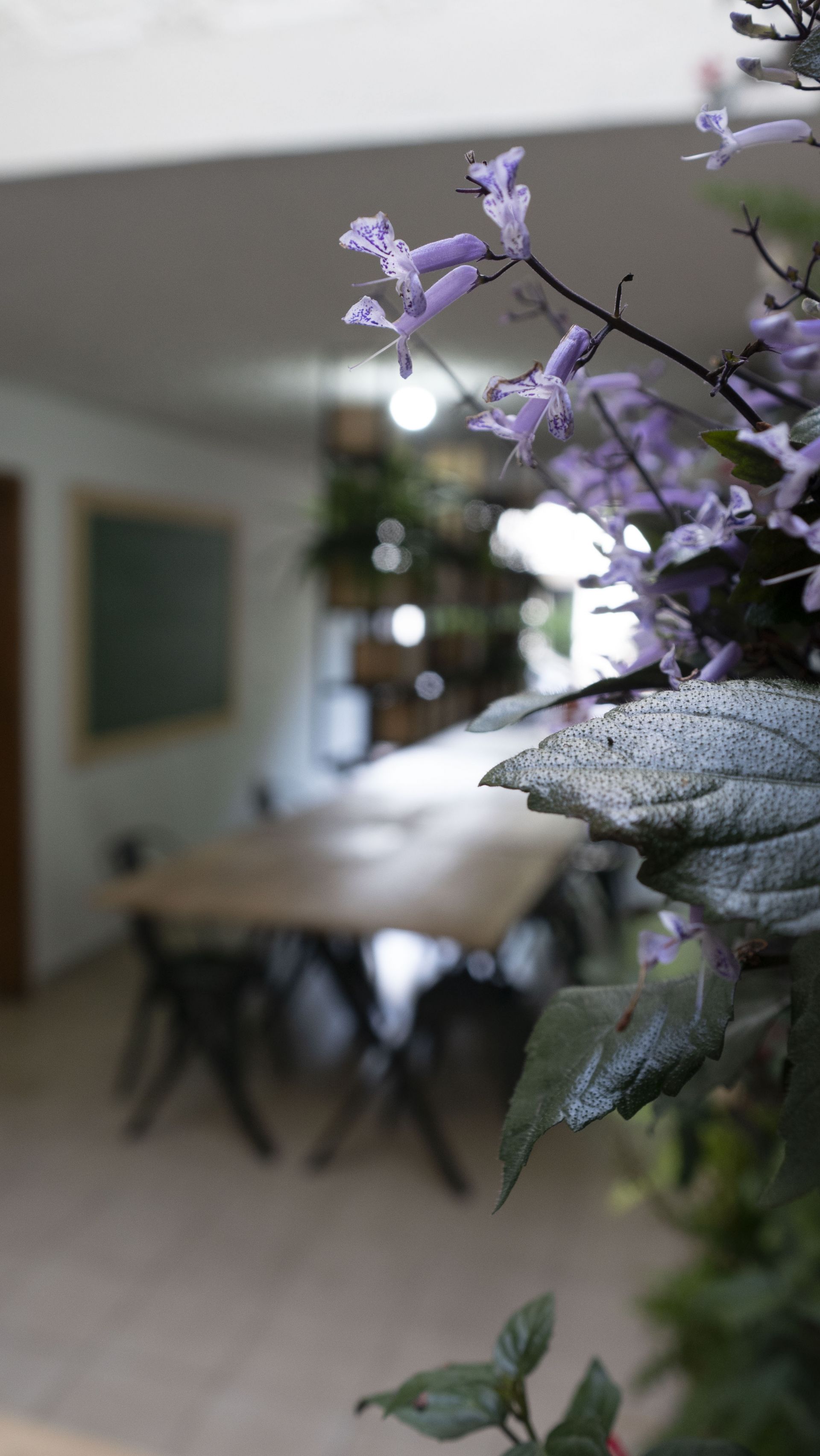 CoWorking Inspira image 5