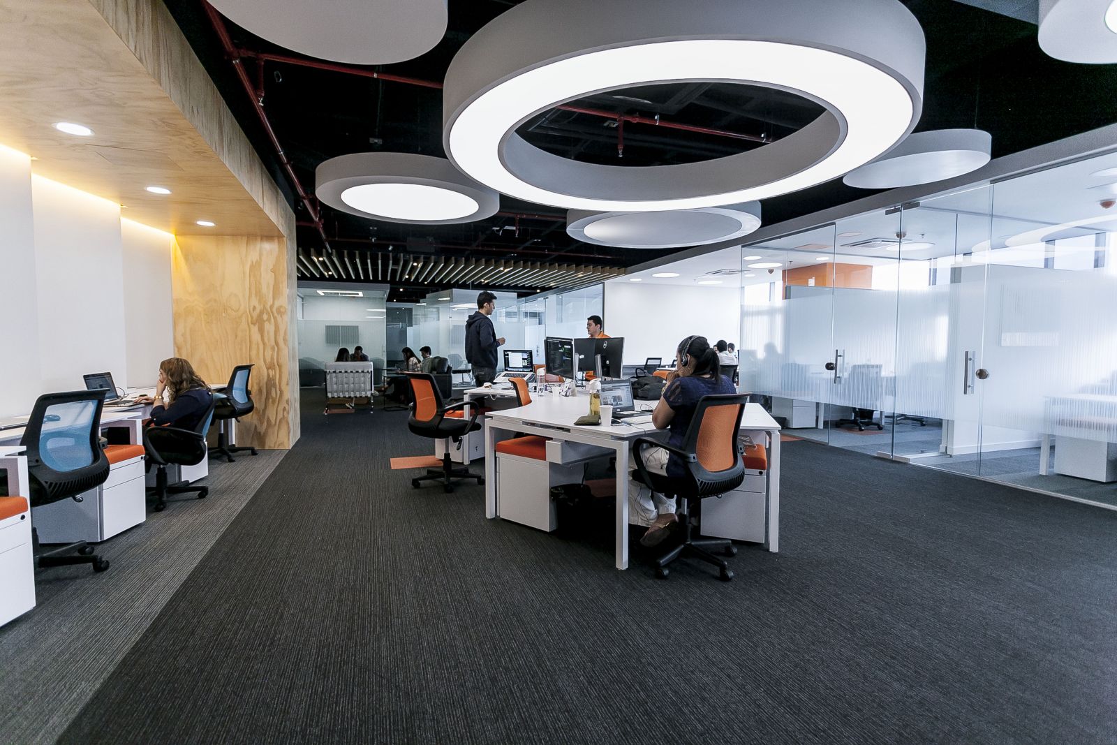 Tinkko Milla de Oro image 3