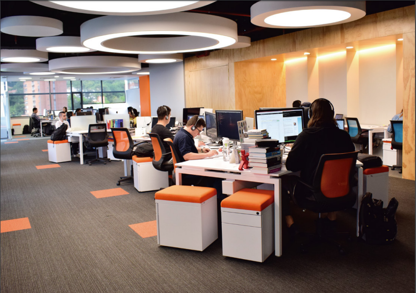 Tinkko Milla de Oro image 5