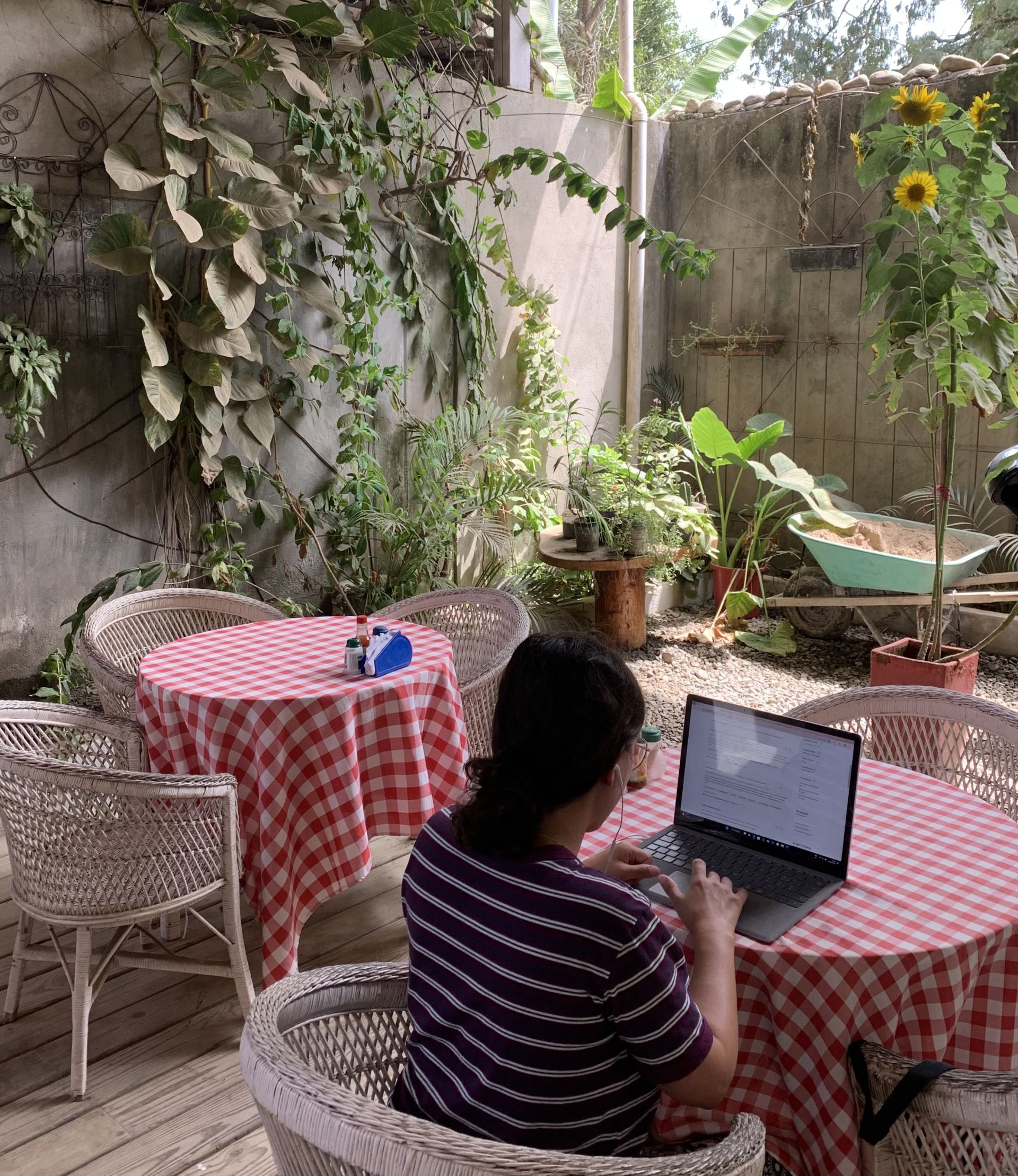 Casa Colibri Palomino image 3