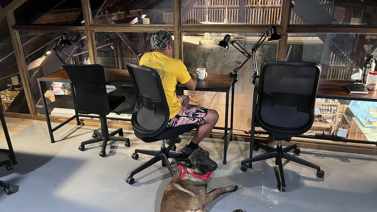 Pacific Cowork image 3