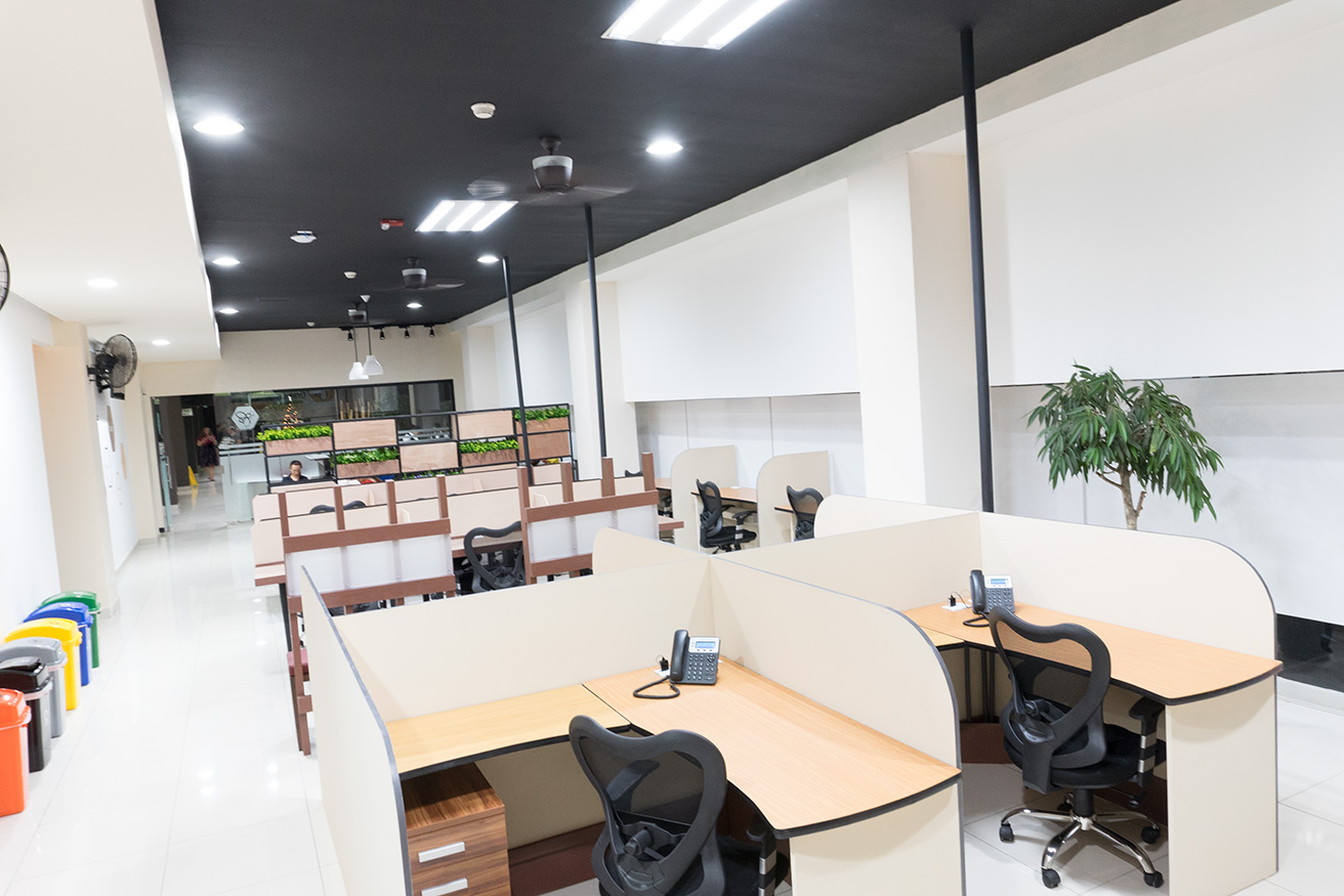 Beeworking Costa Rica image 2