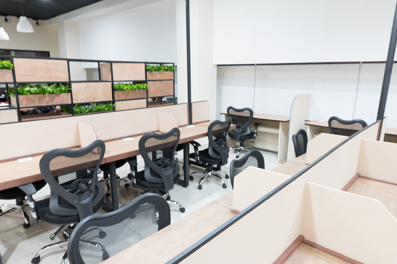 Beeworking Costa Rica image 4