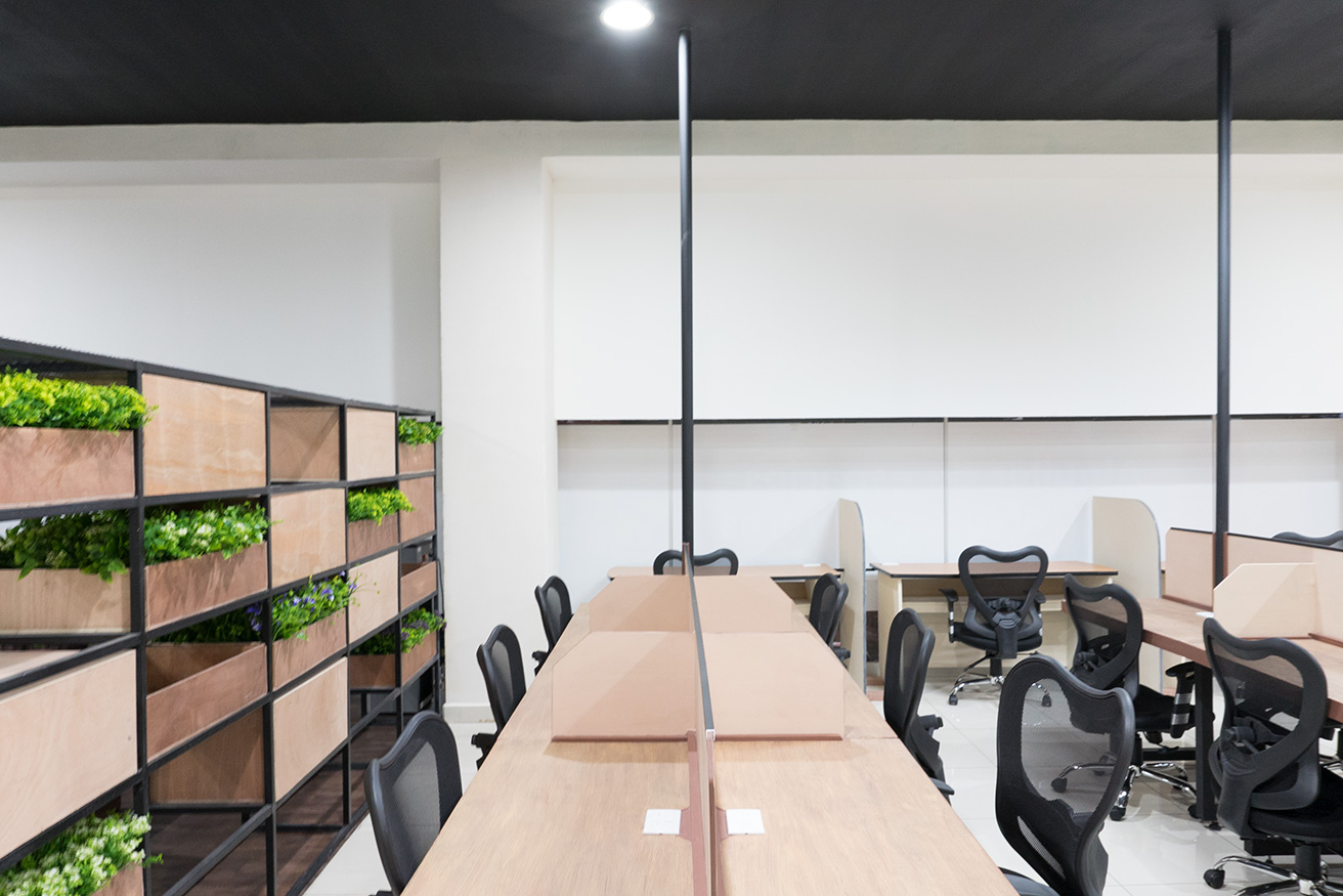 Beeworking Costa Rica image 3