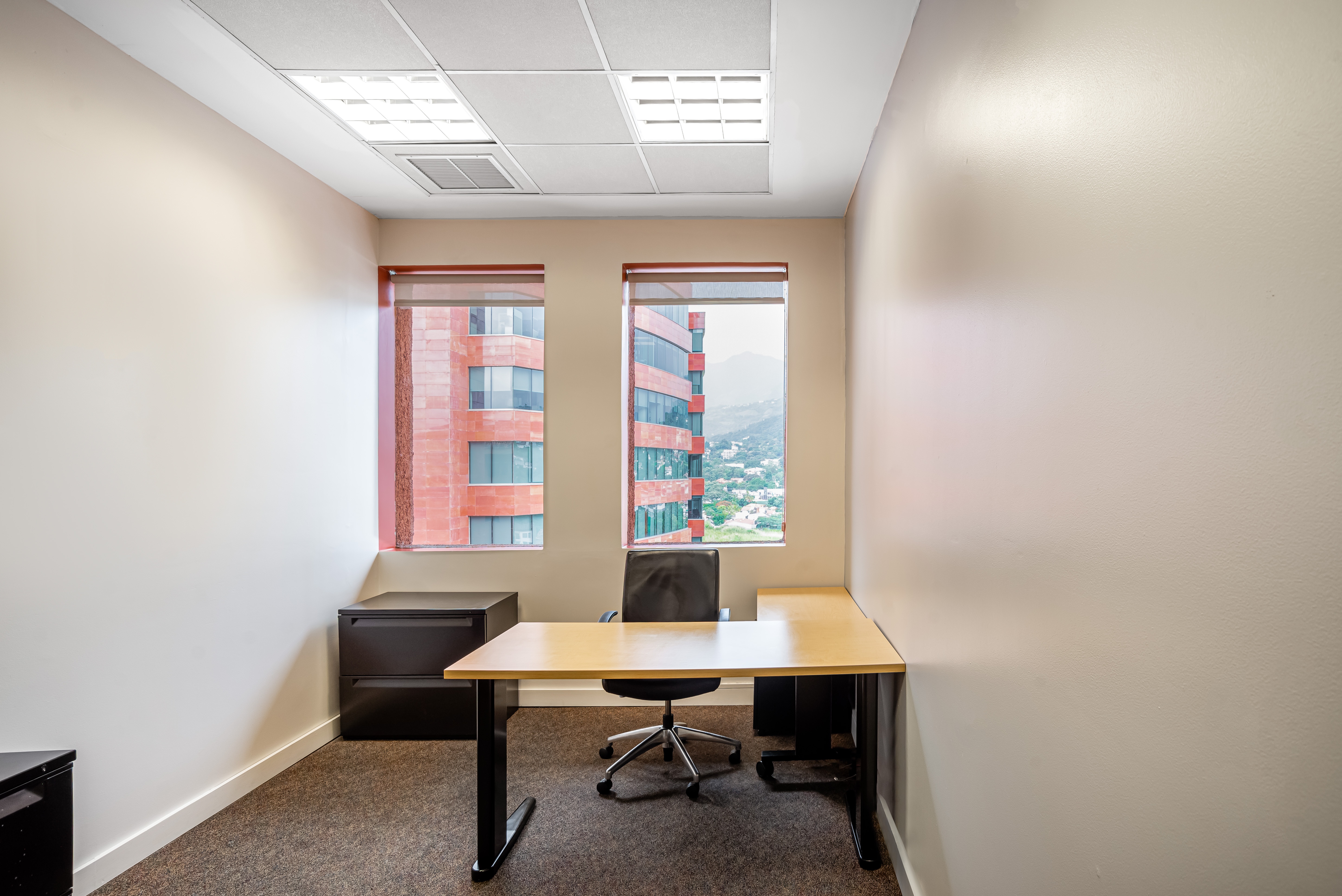 Regus - San Jose Plaza Roble Las Terrazas image 3