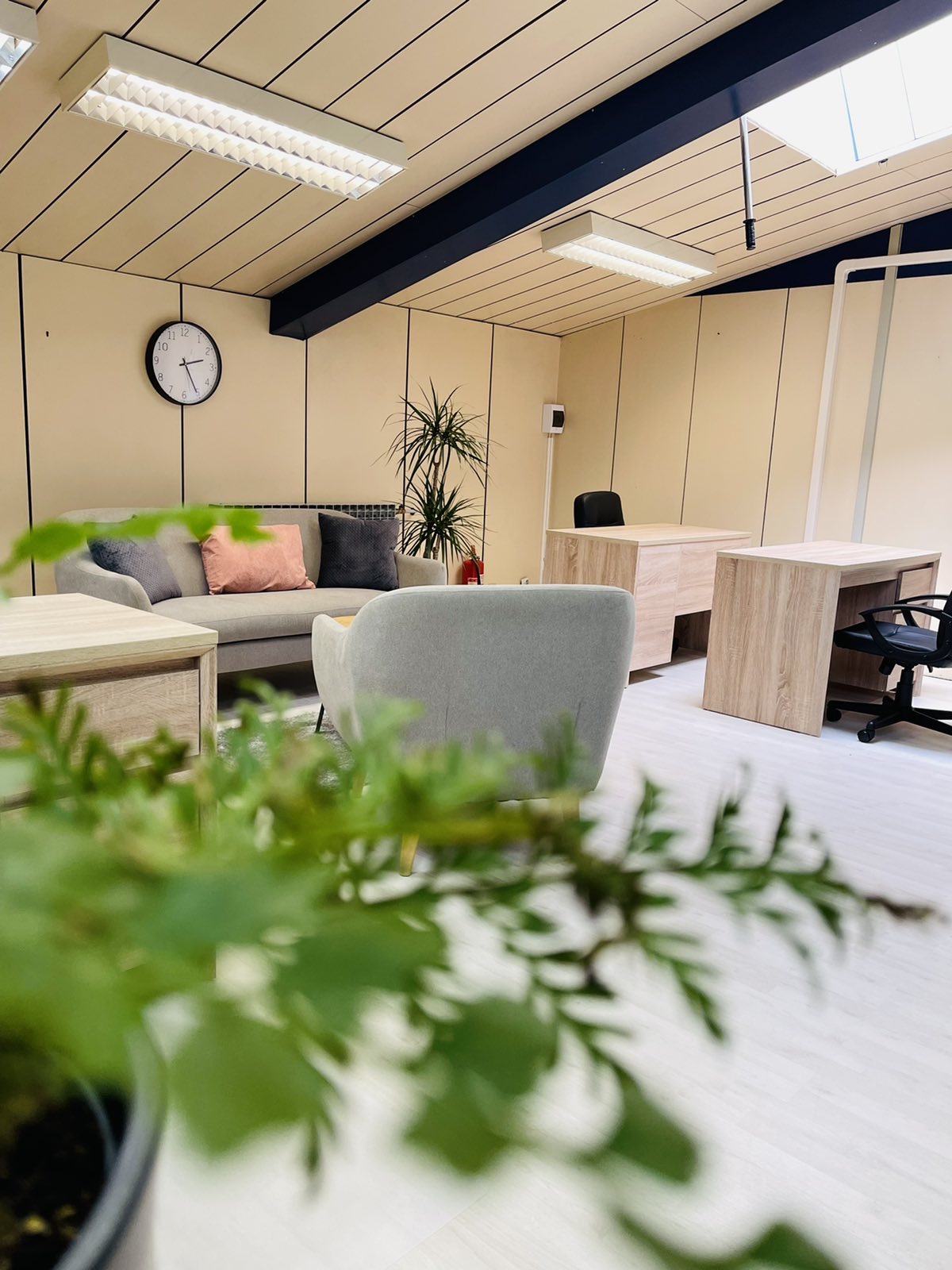 Coworking Office Pula image 4