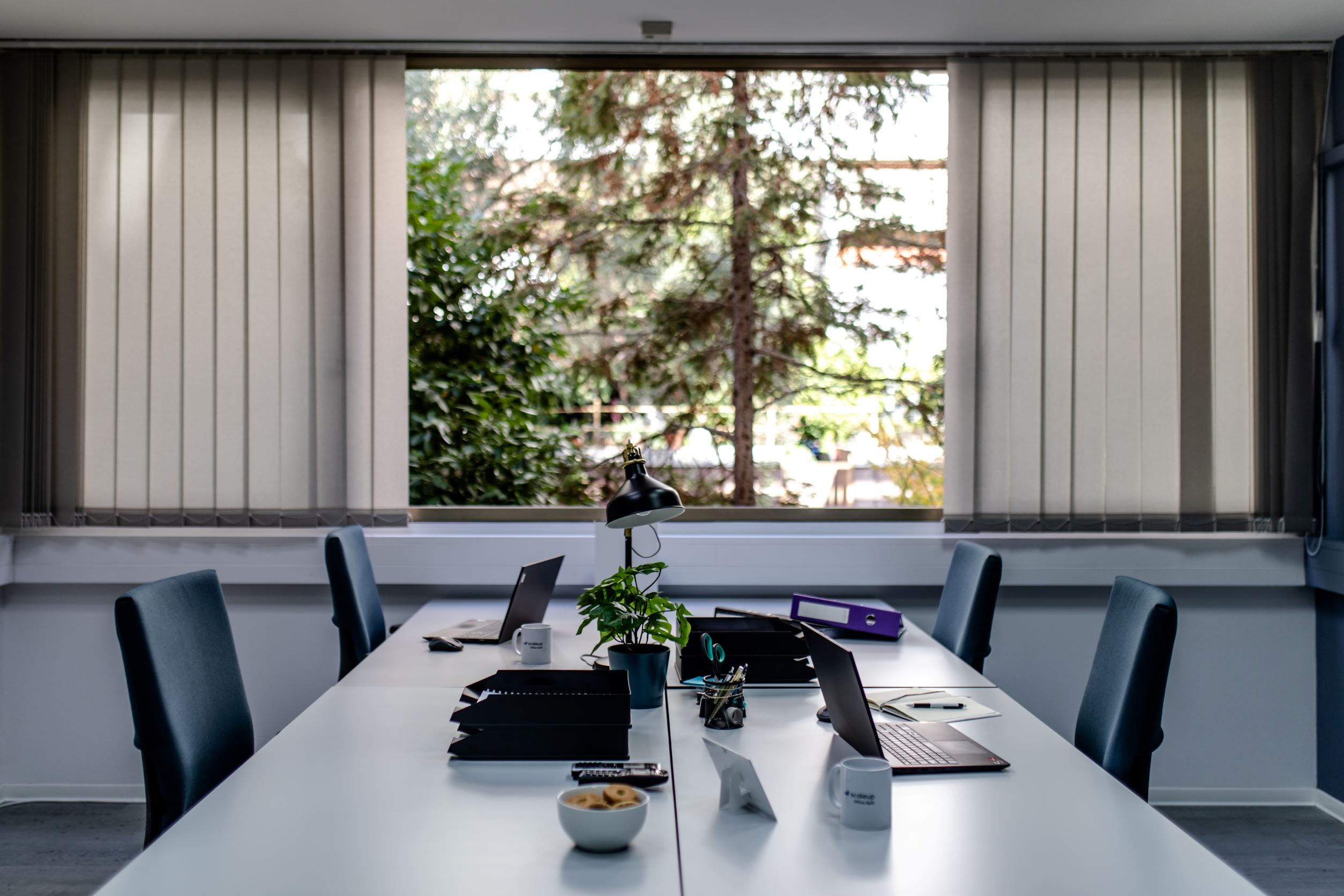 scaleup Office Split image 4