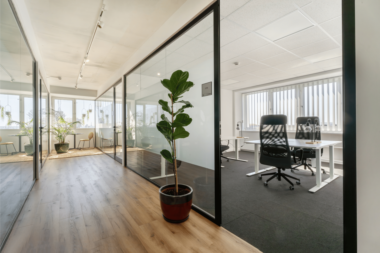 SOHO Embassy image 5