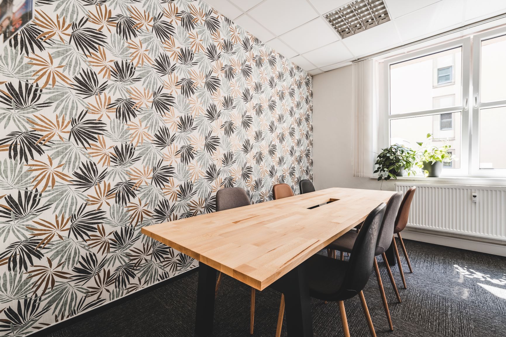 Pracovna R51 image 4