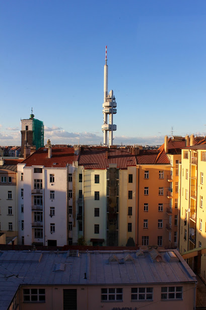 Locus Workspace image 2