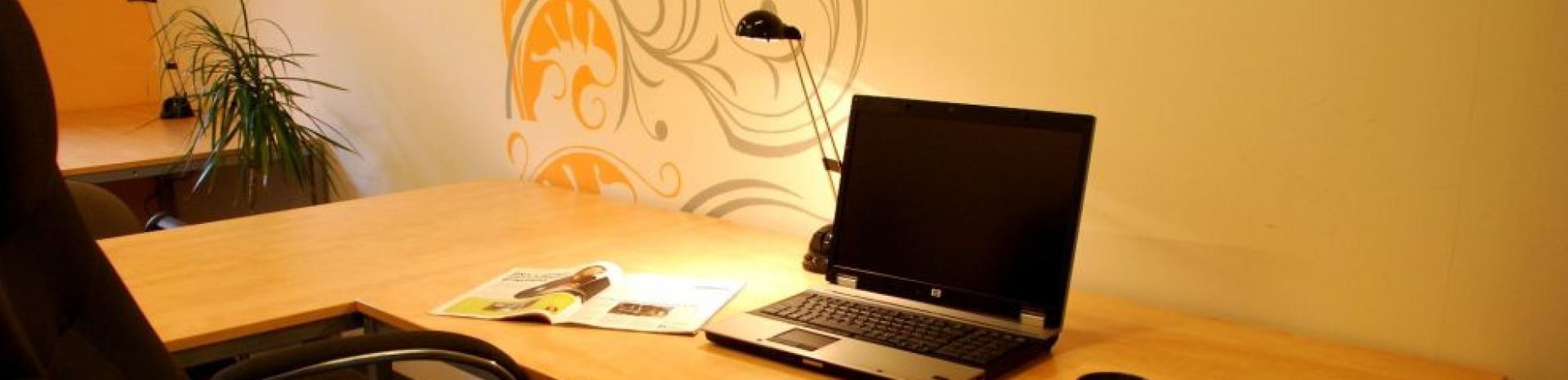 Profi kancel profile image