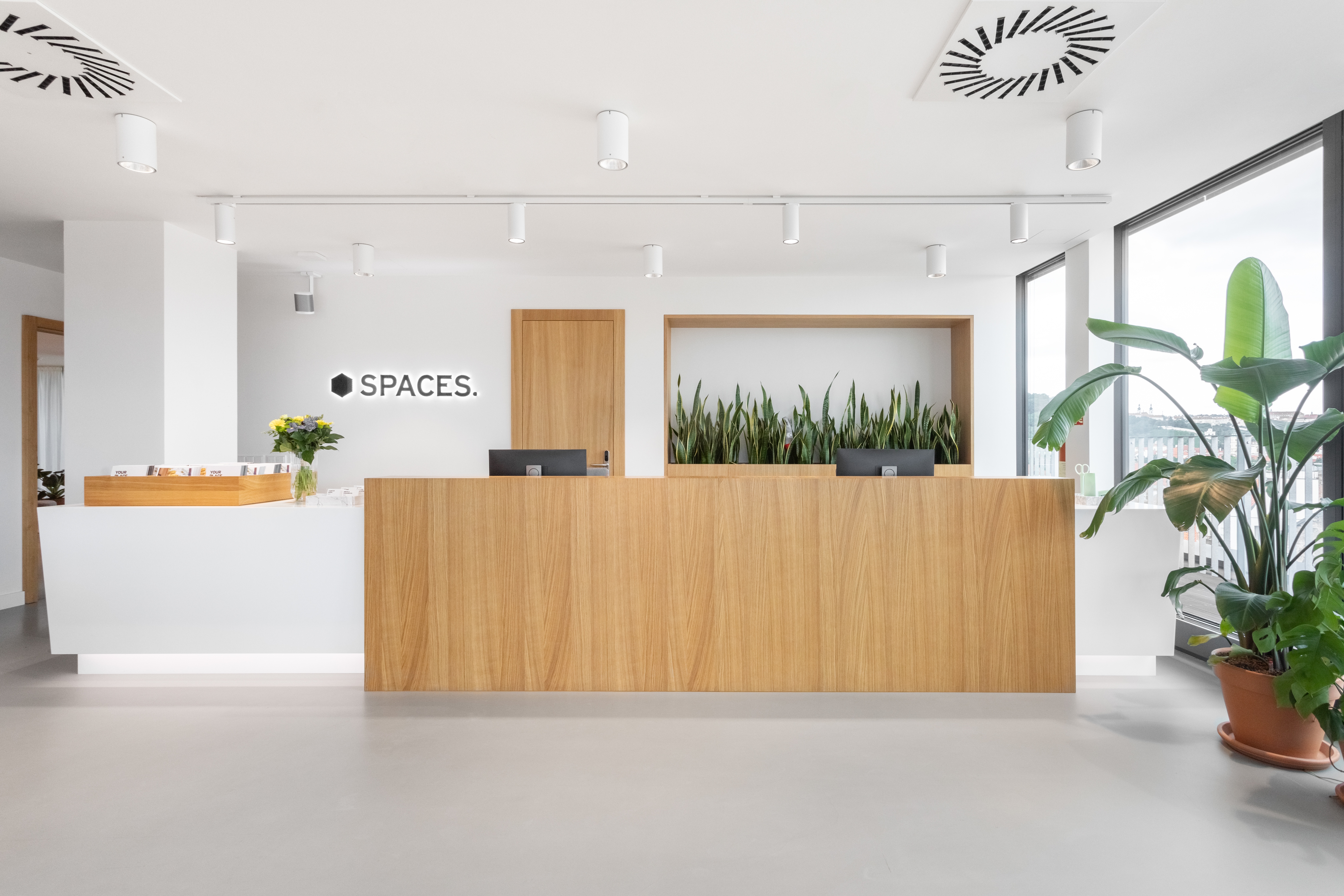 Spaces - Prague, Spaces Albatros image 5