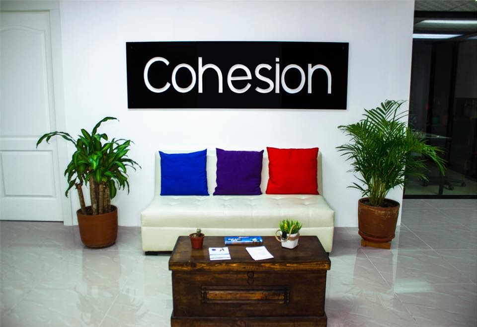Cohesion Group image 2