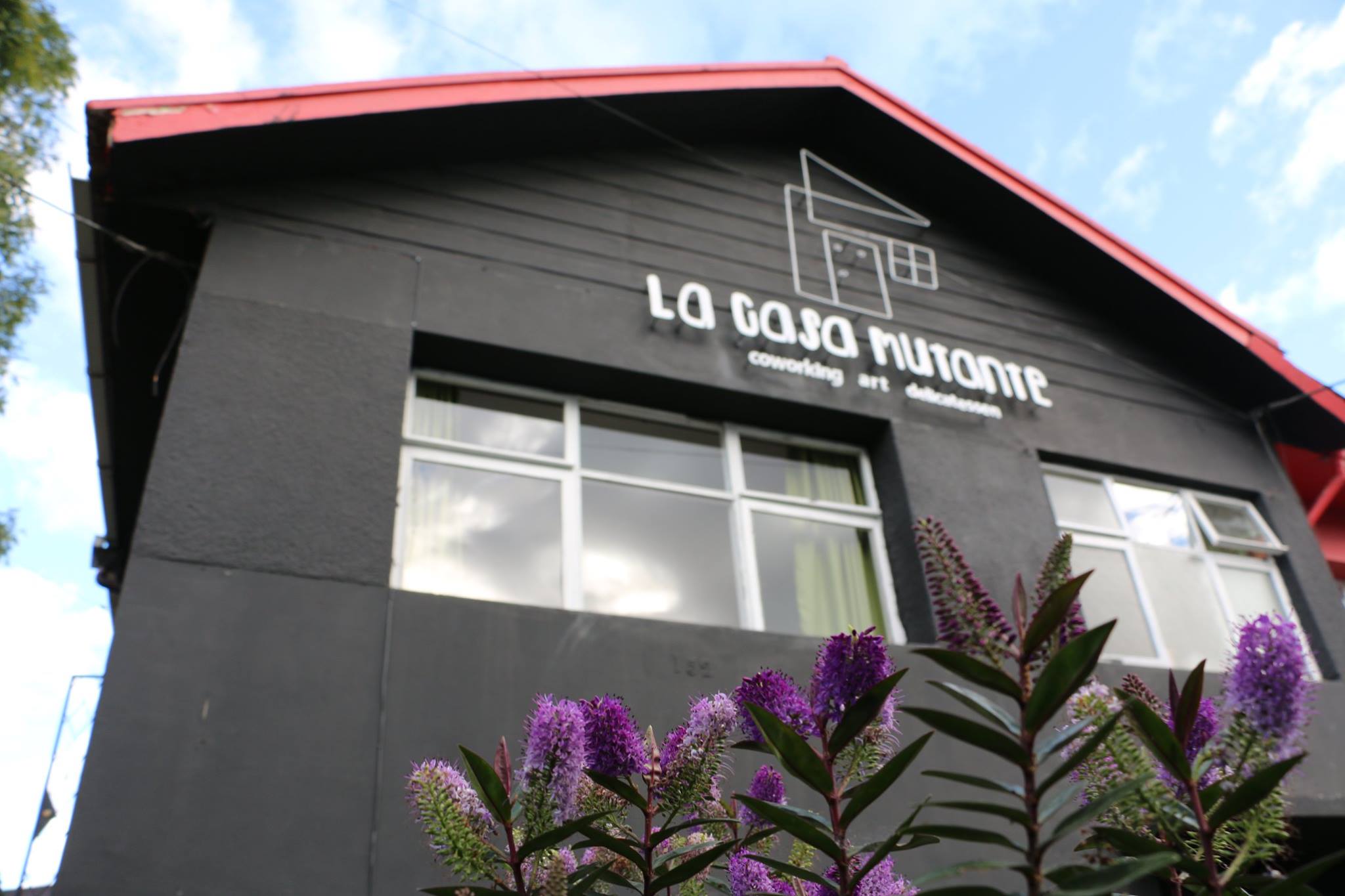 La Casa Mutante image 4