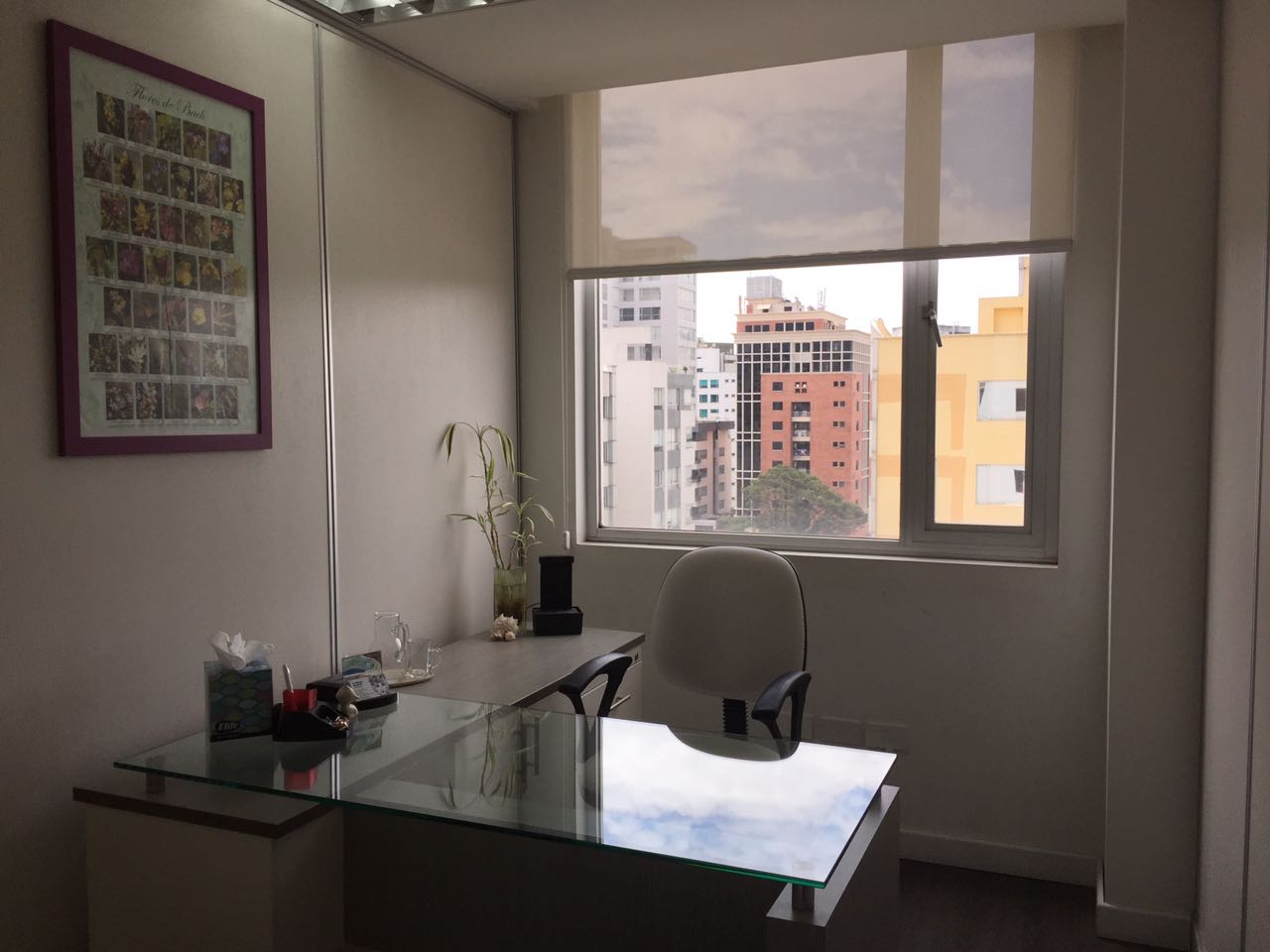 Legión Quito image 4