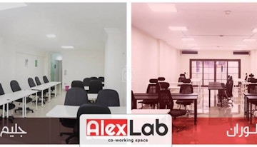 alex lab image 1