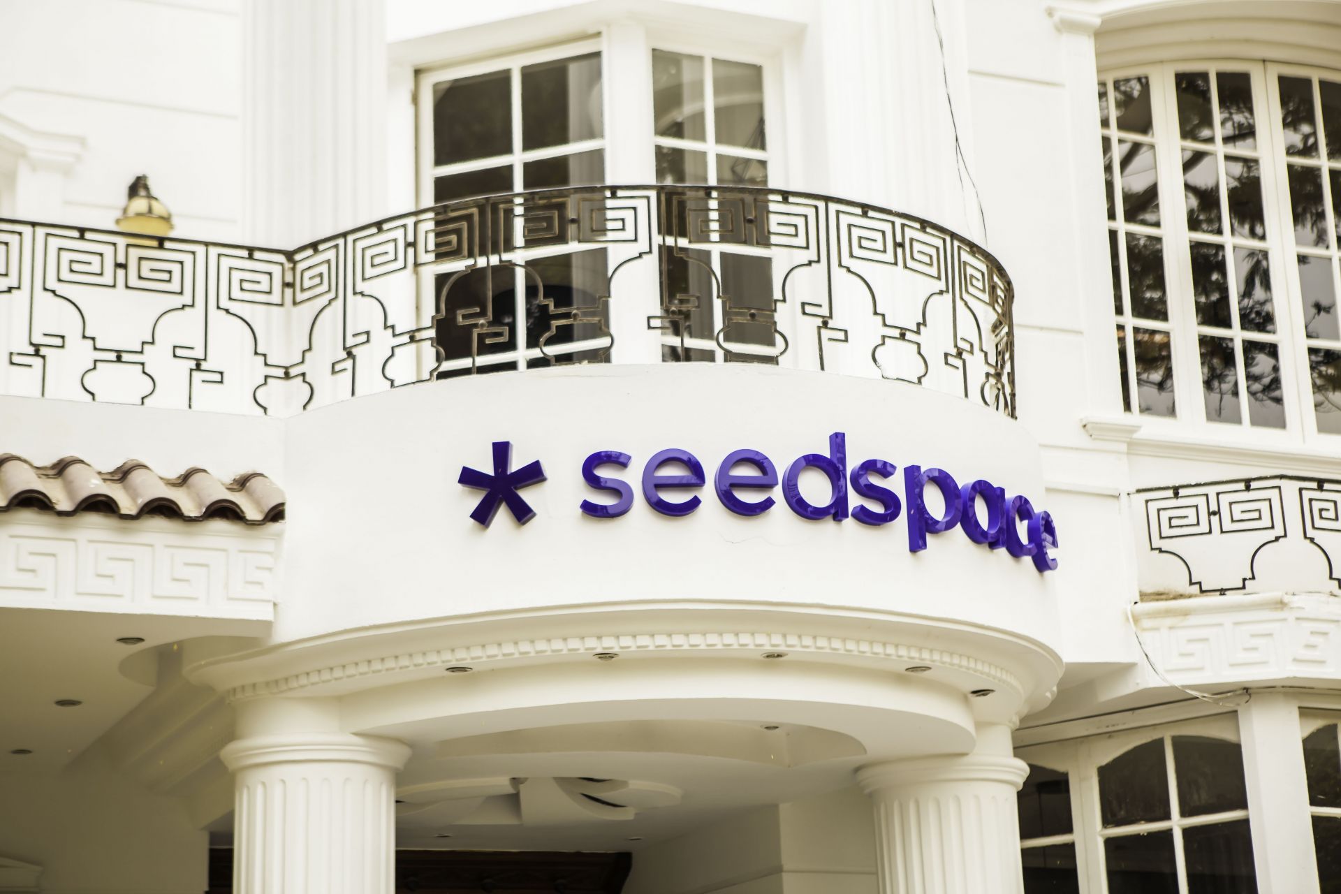 Seedspace Cairo image 2