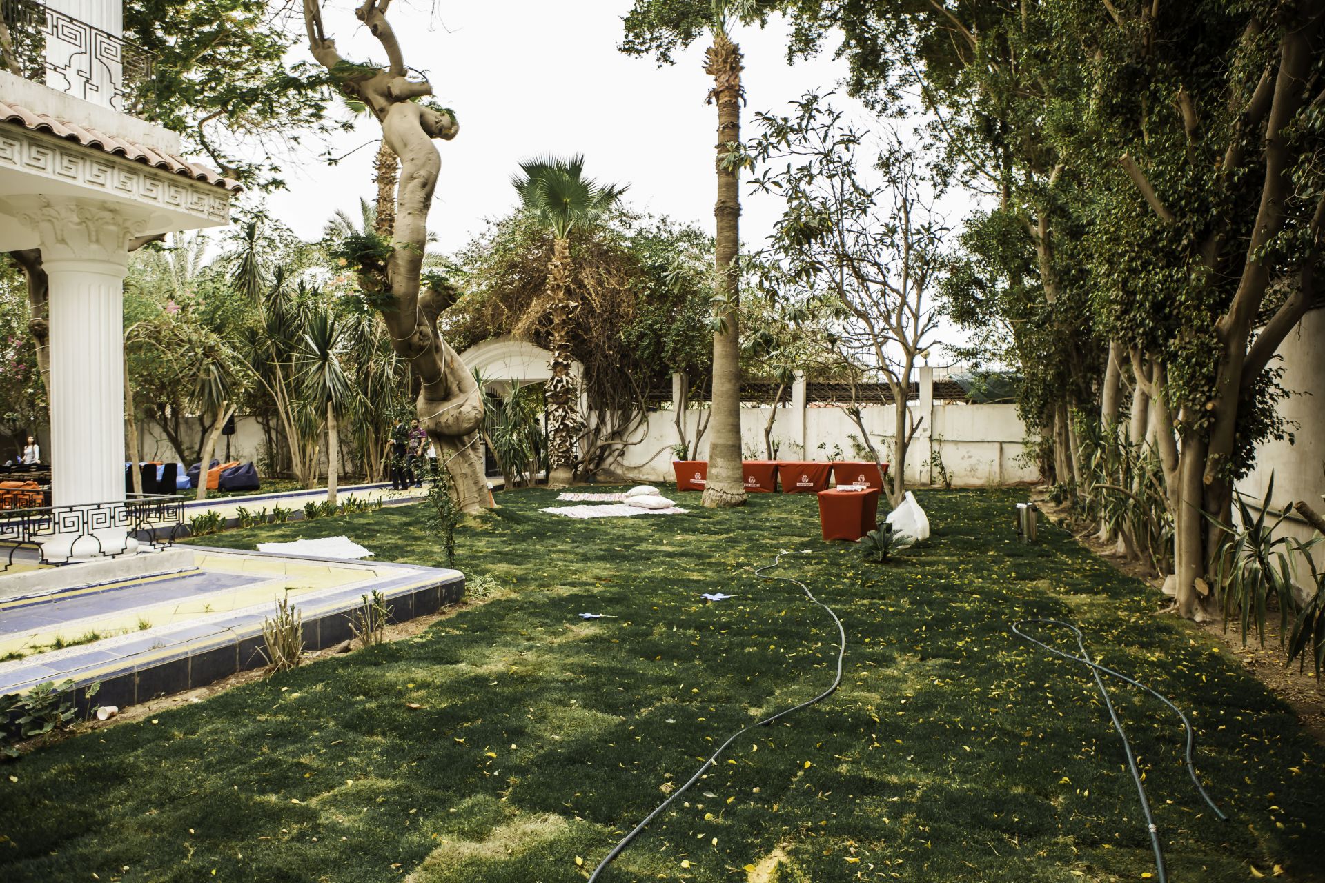 Seedspace Cairo image 4