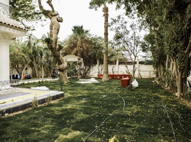 Seedspace Cairo image 4