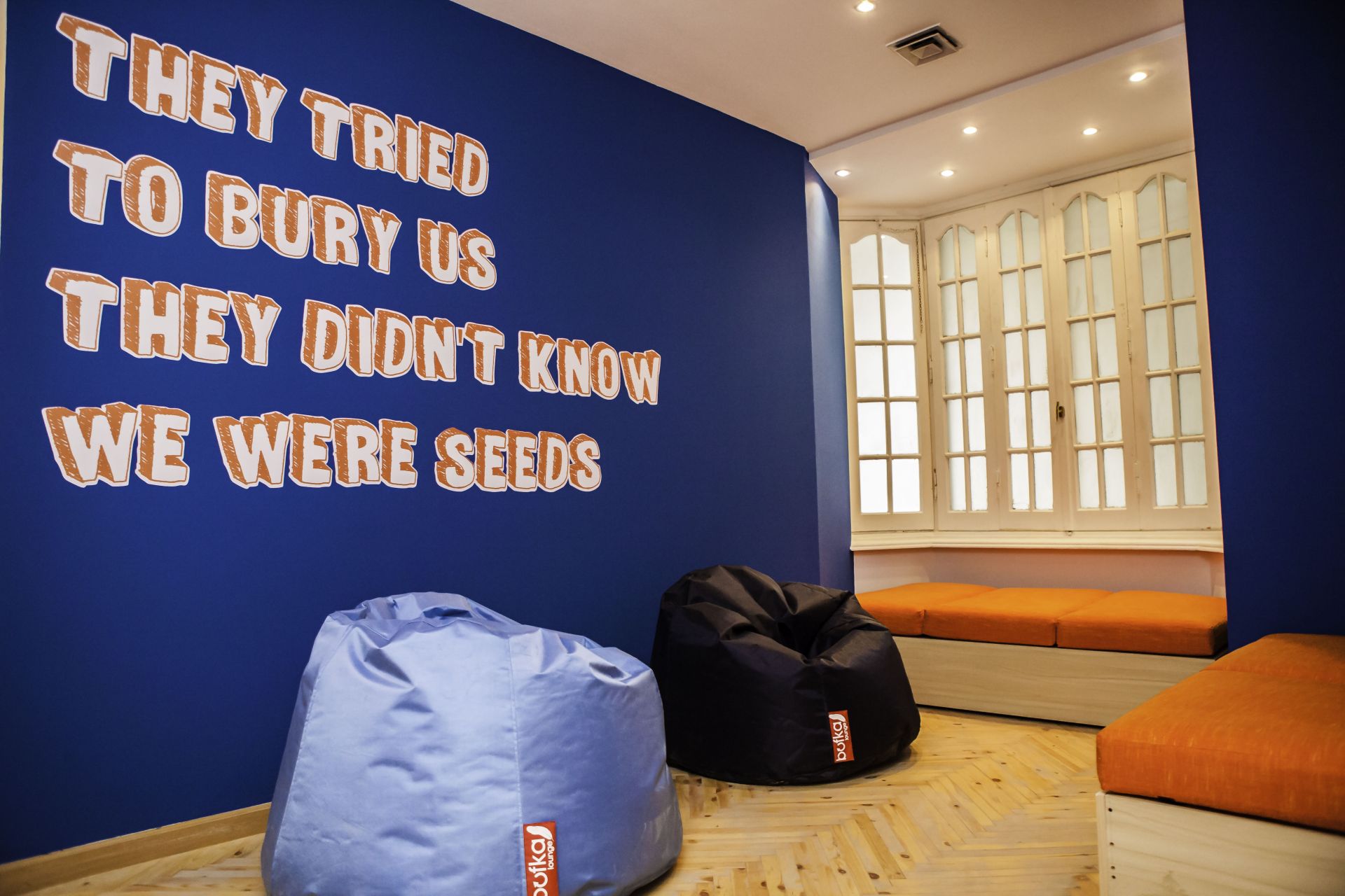 Seedspace Cairo image 5