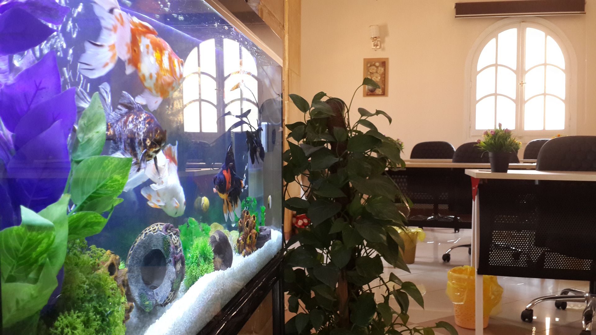 Work Lounge Egypt image 3