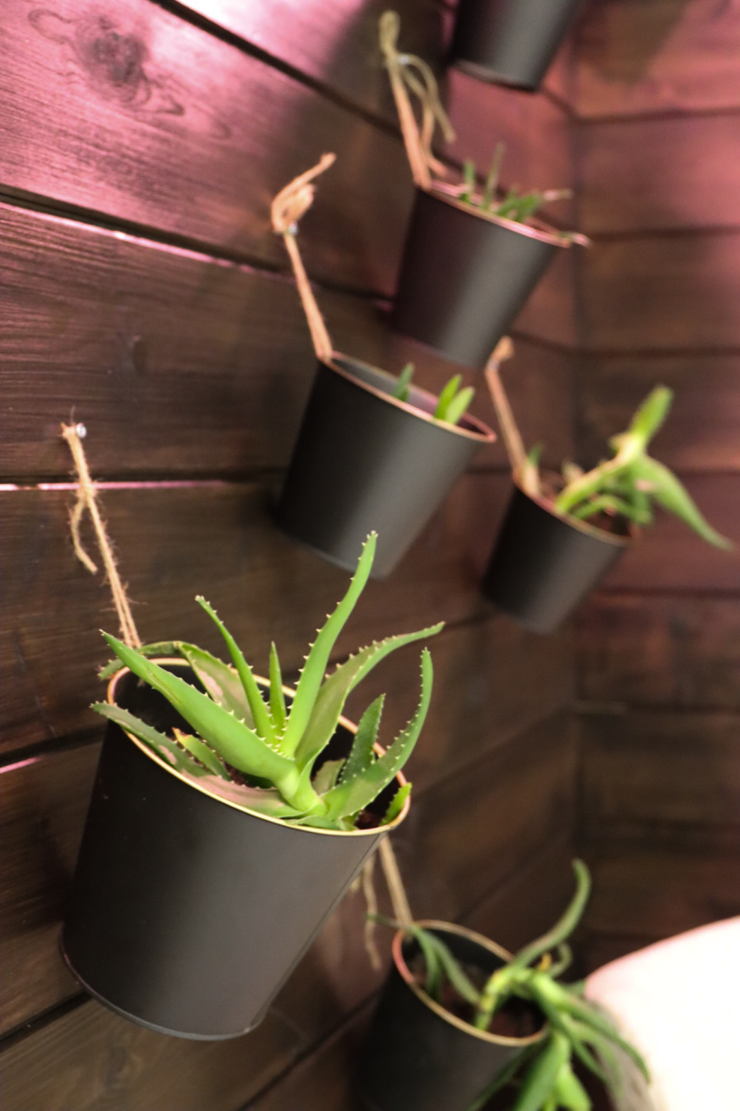 Kohta Coworking image 5