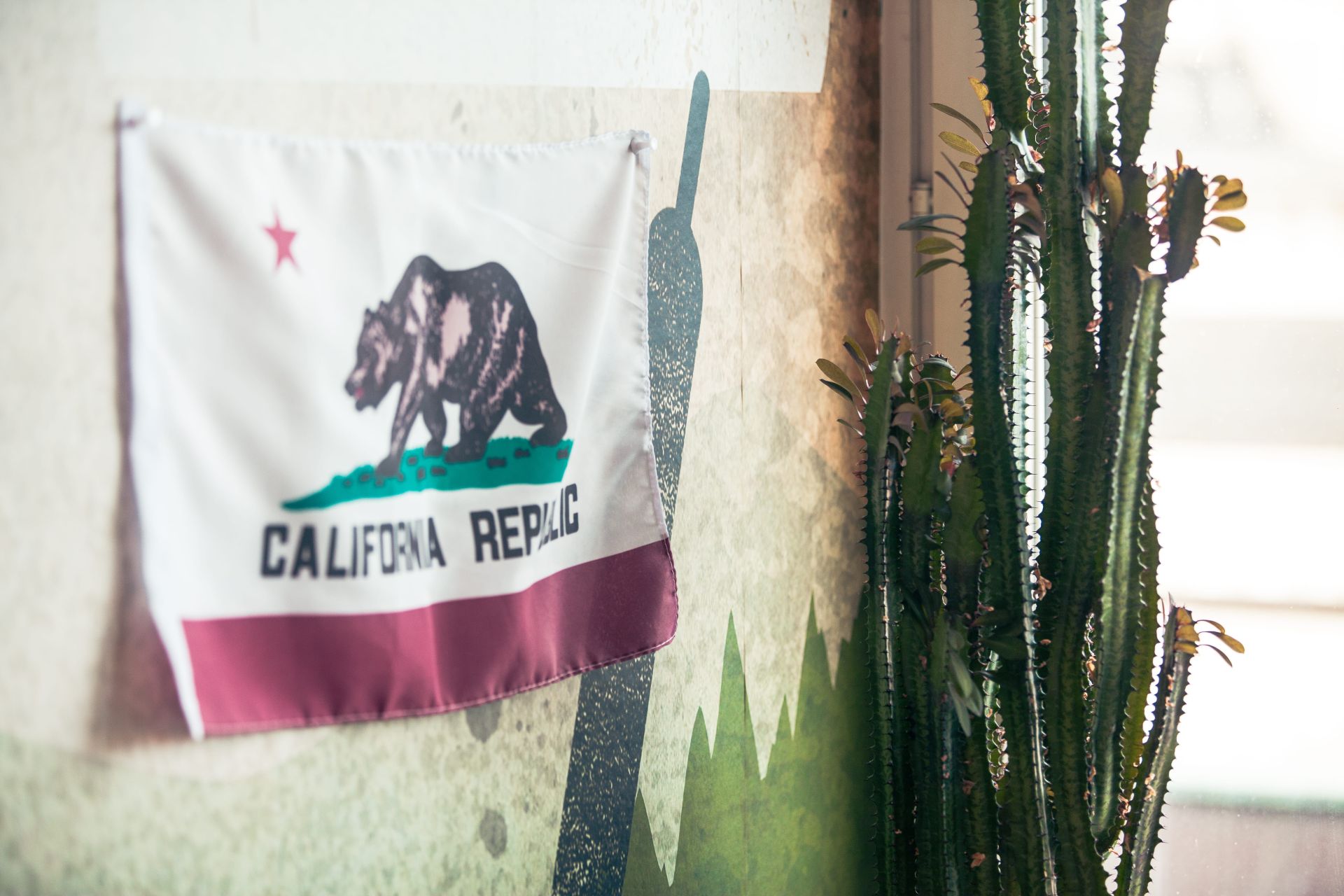 E28 Community image 2