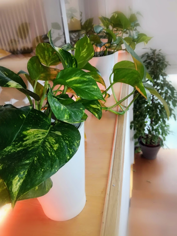 Coworking des Canuts image 5