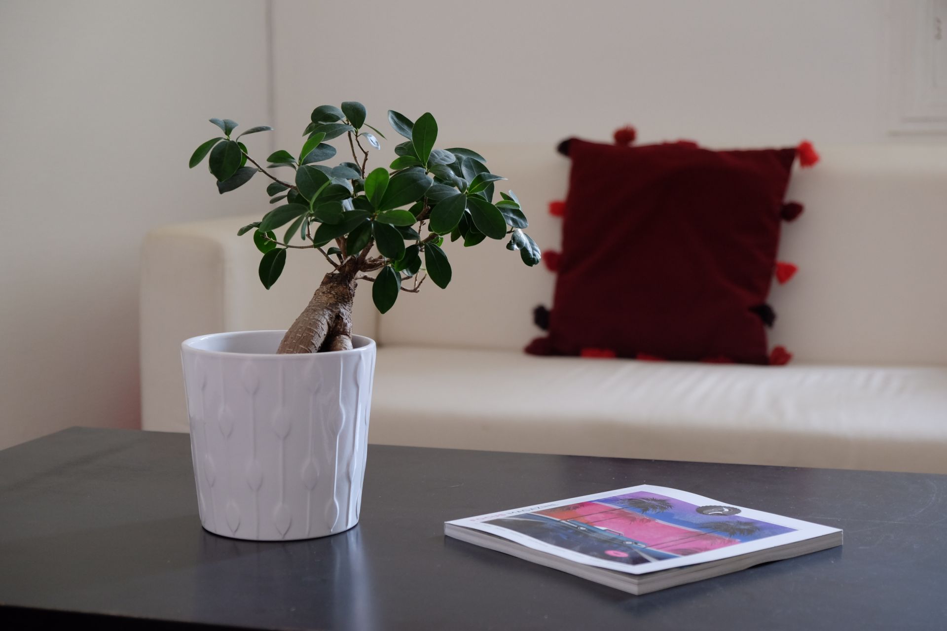 Cowork'in Montpellier image 4