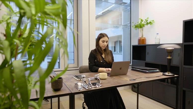 Welkin and Meraki image 4