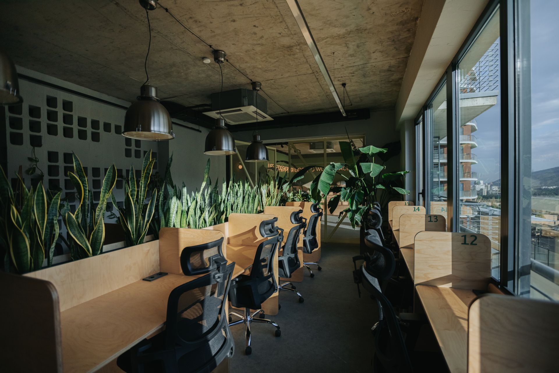 Digital Jungle image 5