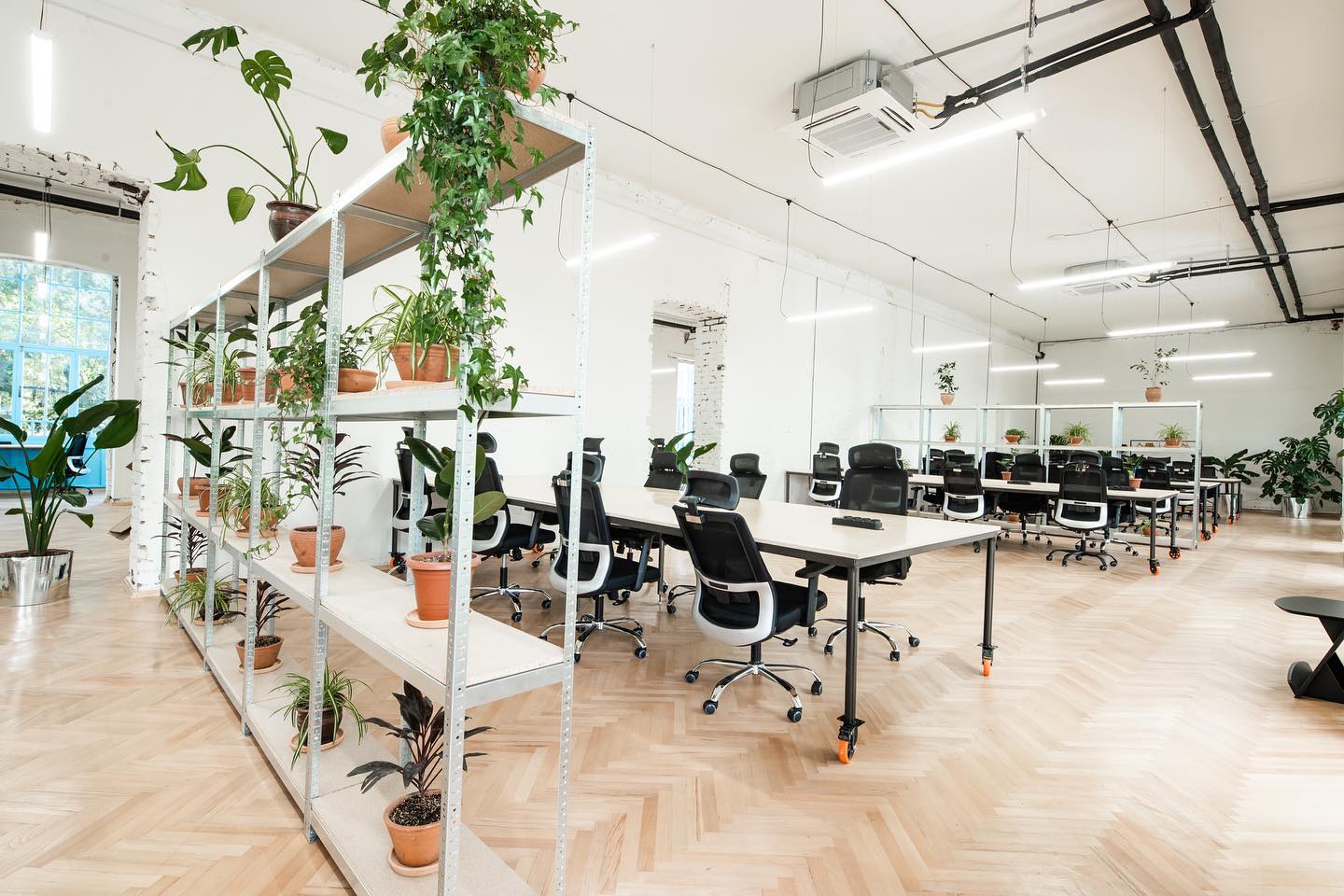 Old boys coworking space image 5