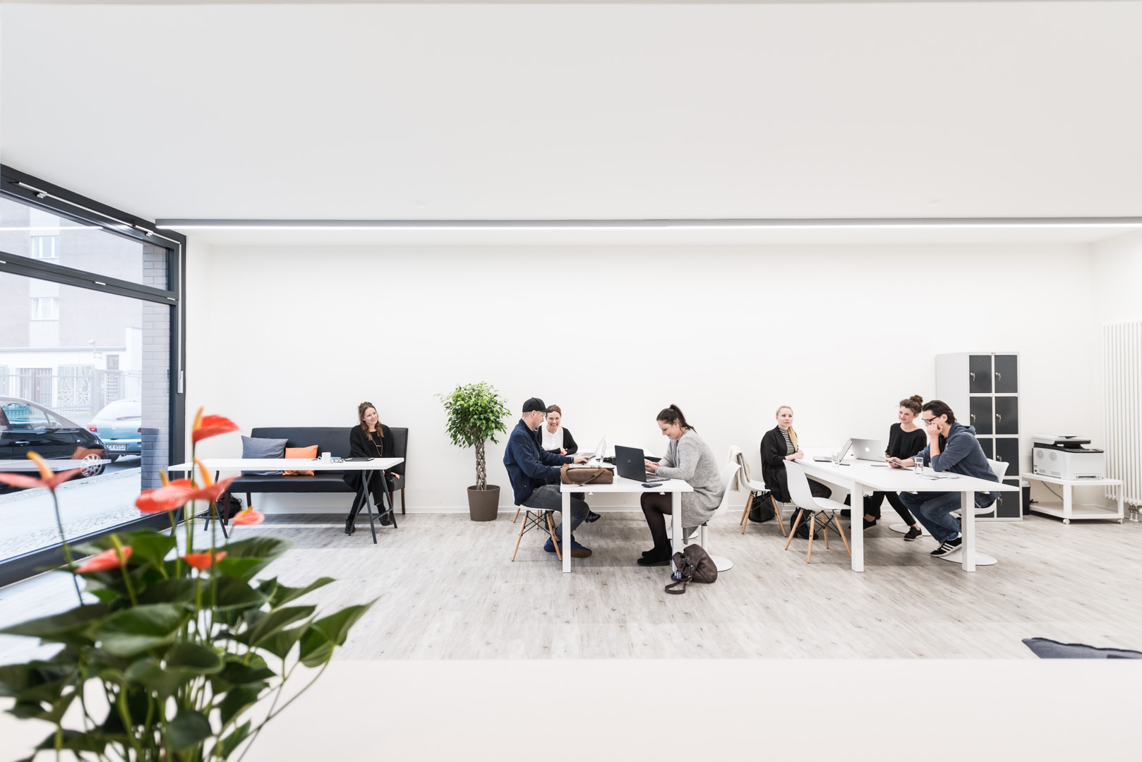 AMAPOLA Coworking profile image