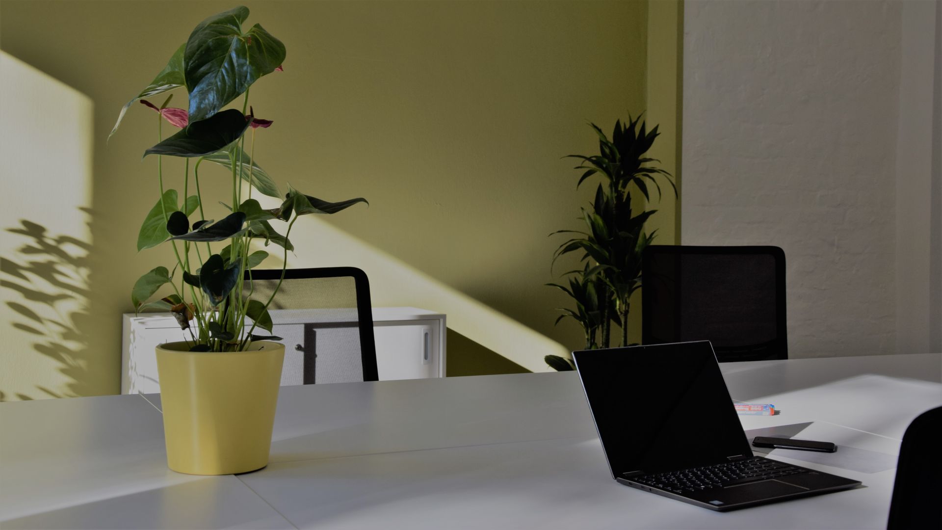 Coworking  Ringbahnstr. 34 image 2