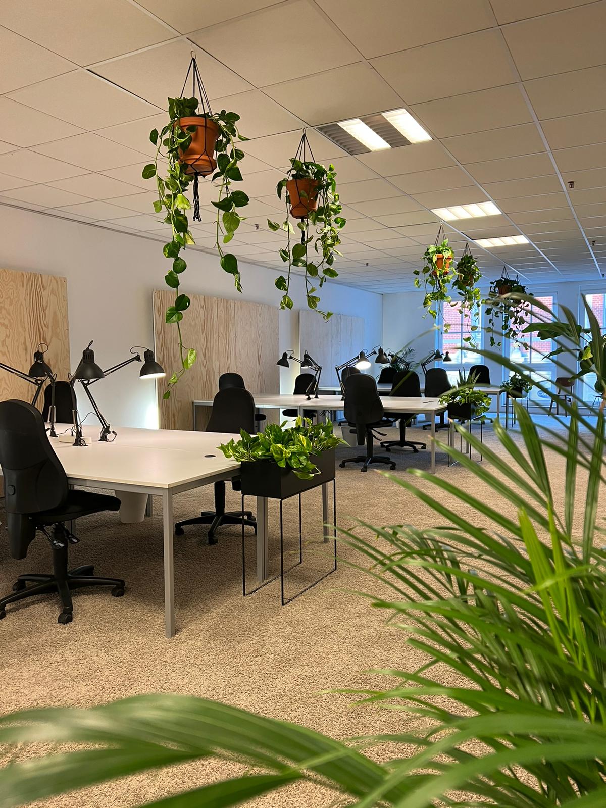 Stunt Coworking & Community image 4