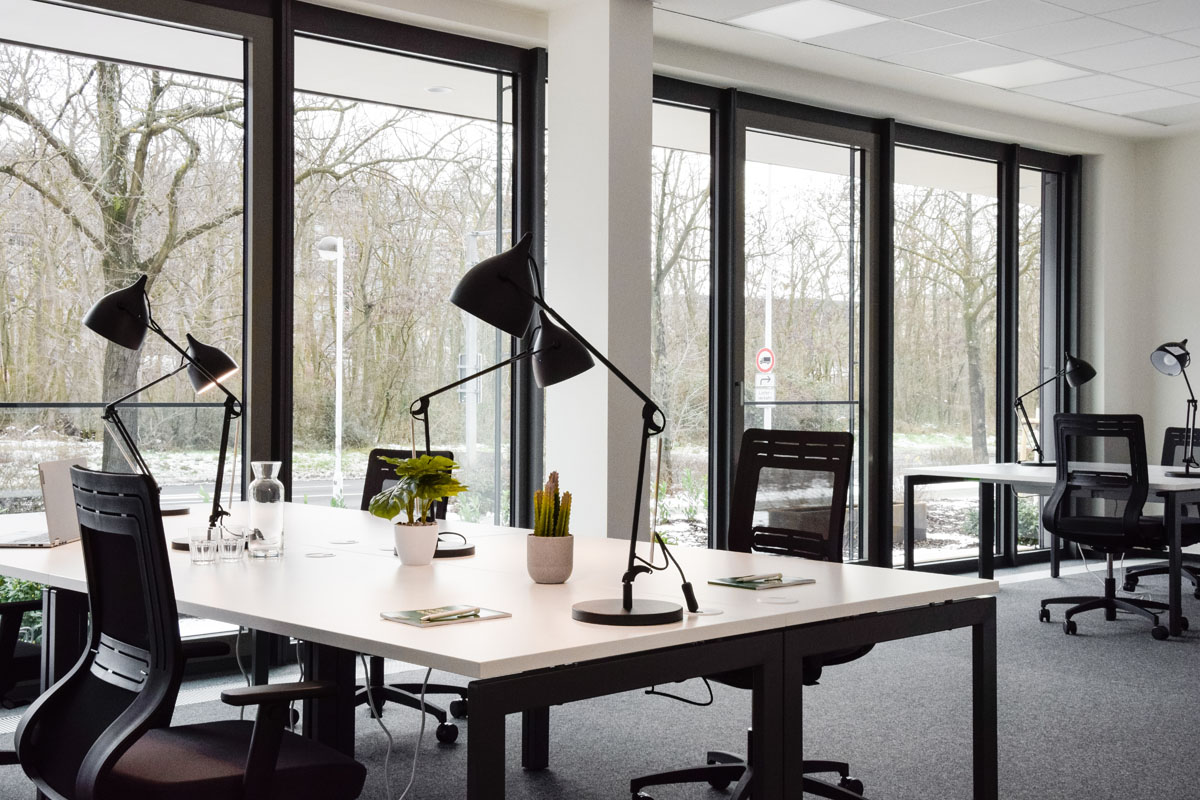 SleevesUp! Darmstadt image 5