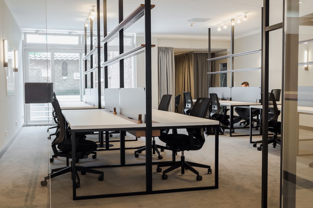 Denizen Artol image 4